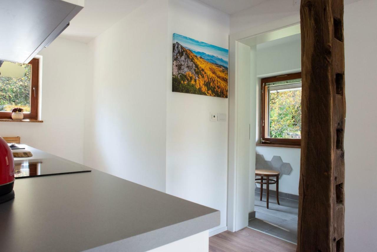 PoljeWoodywood House Bohinj别墅 外观 照片